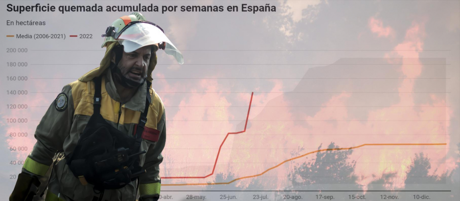 Los datos de los incendios en España