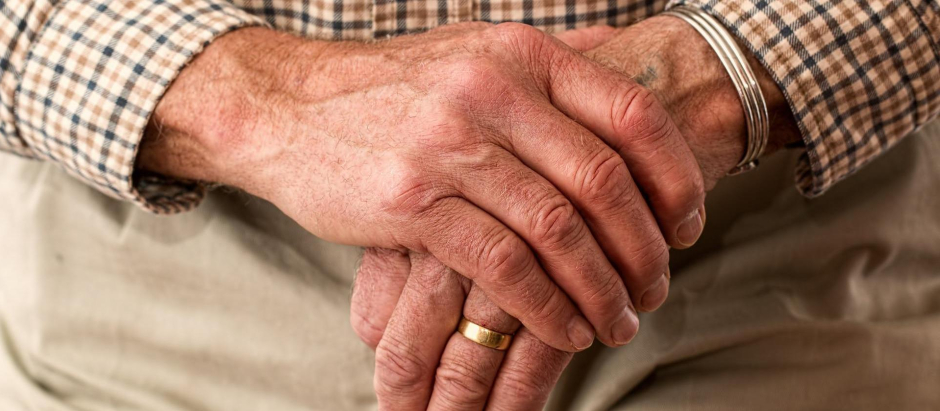 La pensión de viudedad es la segunda más numerosa en cuanto a número de beneficiarios