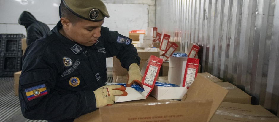 Un policía antinarcótico buscan droga en varios contenedores en el Puerto de Guayaquil, Ecuador