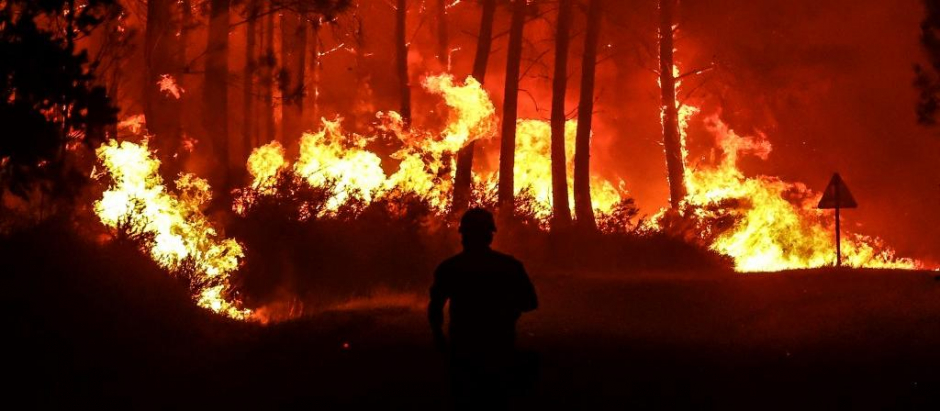 En total se han quemado más de 40.000 hectáreas este año en el país vecino