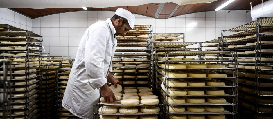 Un empleado prepara quesos en una cooperativa de reblochon en Thones (Alpes franceses), el pasado 22 de agosto