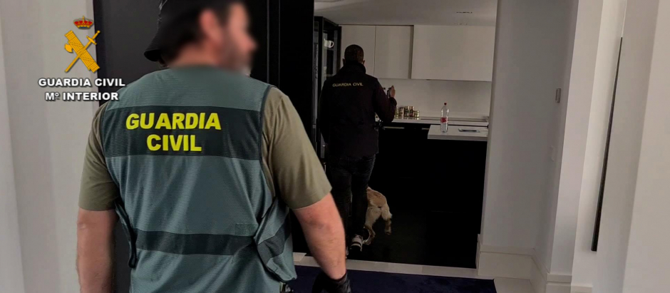 Detenidos en España los dos cabecillas de una organización de tráfico internacional de cocaína
