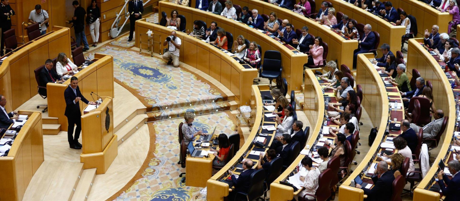 El presidente del Gobierno, Pedro Sánchez, interviene en el Senado