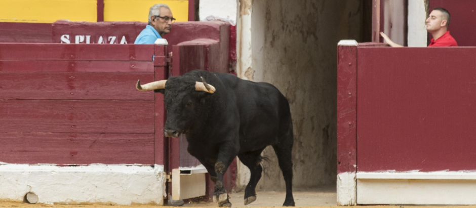 Plaza de toros de Murcia