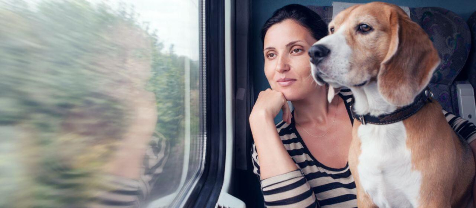 Un perro viajando en tren