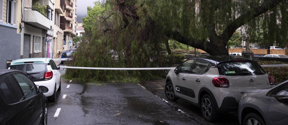 Las lluvias generadas por la cercanía de la tormenta tropical 'Hermine' a Canarias ha ocasionado un centenar de incidencias en Canarias.