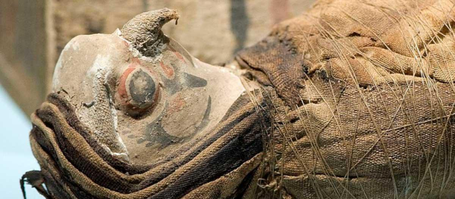 Las momias de halcón encontradas en el templo egipcio de Berenike sugieren antiguos ritos ancestrales desconocidos hasta el momento