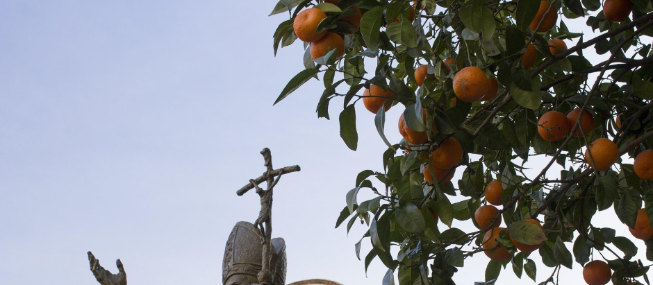 Unos 4.000 naranjos se reparten por todo Sevilla