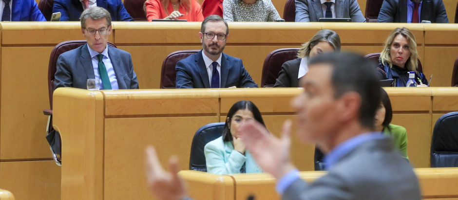 Pedro Sánchez interviene en el Senado ante Feijóo