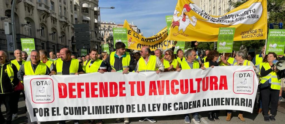 Los avicultores exigen en Madrid el cumplimiento de la ley de cadena alimentaria