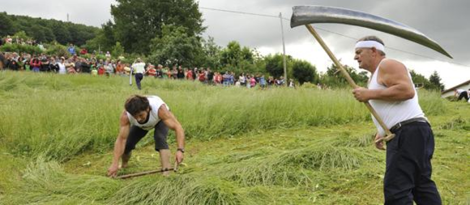 La simple siega de un prado se ha convertido en una práctica deportiva de gran tradición