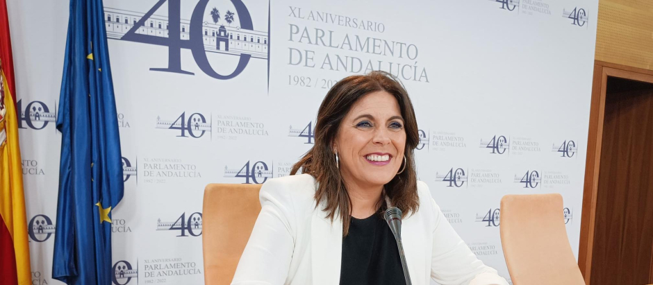La vicesecretaria general del PSOE andaluz, Ángeles Férriz, en la sala de prensa del Parlamento de Andalucía