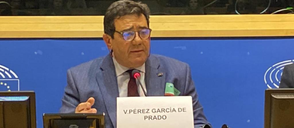 El viceconsejero de Agricultura, Vicente Pérez, en un momento de su intervención en el Comité Europeo de las Regiones.