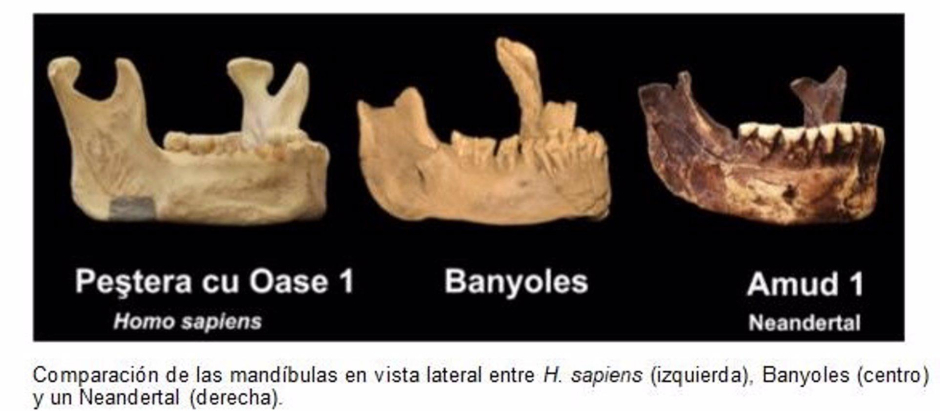 Investigadores españoles prueban la existencia de una especie humana distinta de los neandertales en Europa
SOCIEDAD ESPAÑA EUROPA MADRID SALUD
HM HOSPITALES