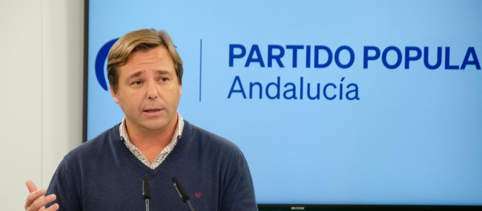 El secretario general del PP andaluz, Antonio Repullo, en rueda de prensa