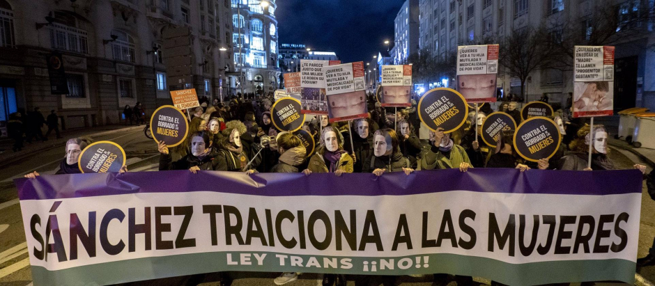 Organizaciones feministas se concentran por la denominada 'ley Trans' en la Plaza de las Cortes.
