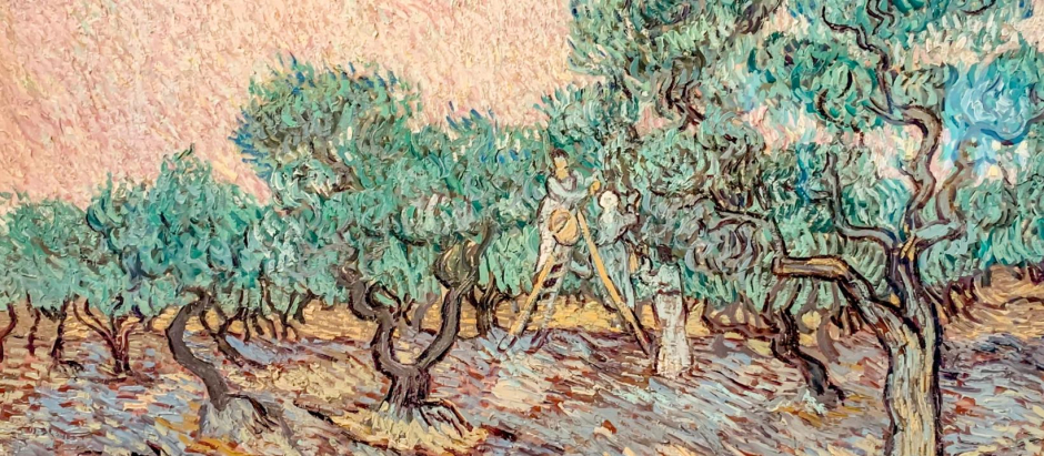 La cueillette des olibves de Van Gogh