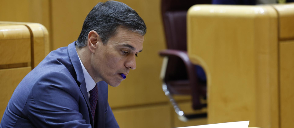 Pedro Sánchez en el Senado el pasado 31 de enero