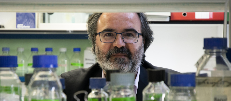 El genetista Lluís Montoliu, presidente del Comité de Ética del CSIC
