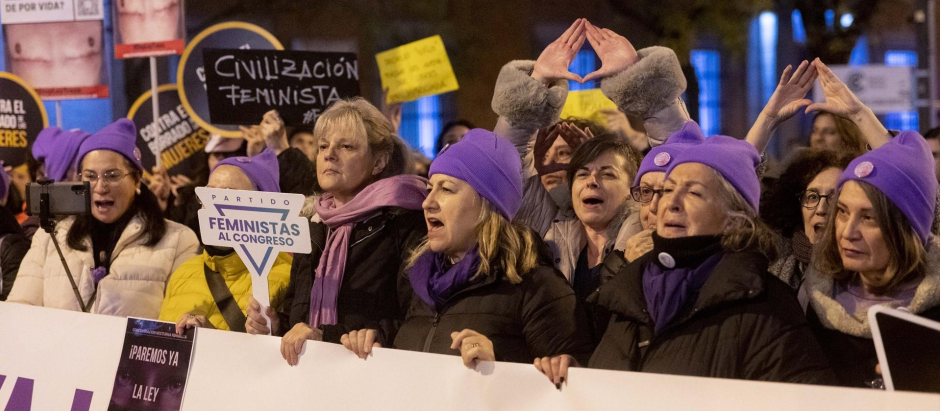 Varias organizaciones feministas durante una concentración contra la denominada 'Ley Trans', frente al Congreso de los Diputados
