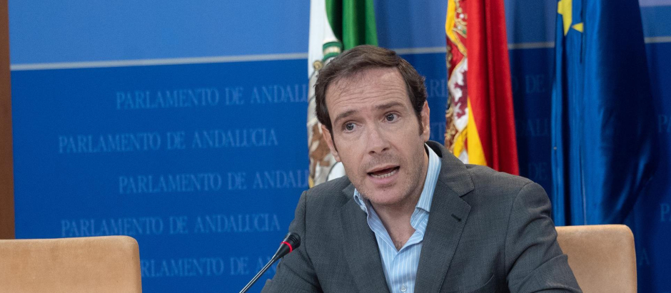 El portavoz adjunto de Vox en Andalucía Javier Cortés, durante la rueda de prensa