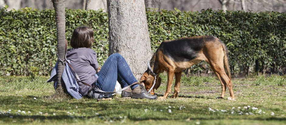 Una mujer junto a un perro en el Parque del Retiro