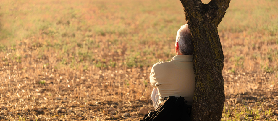 Un hombre descansa en soledad apoyado en un árbol