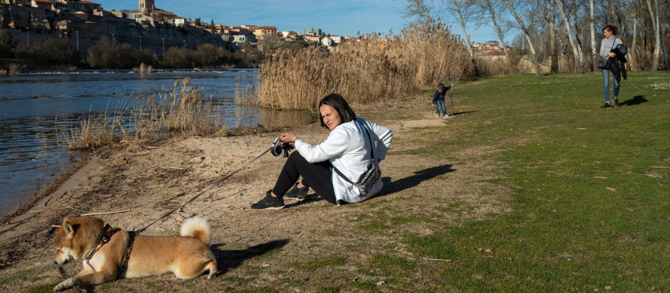 Una mujer junto a su perro en la playa de Los Pelambres, Zamora