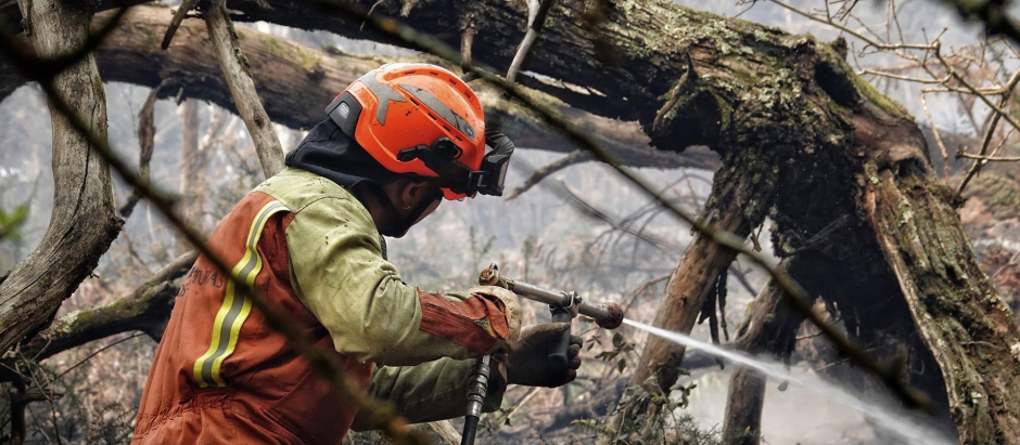 Bomberos de Asturias trabajan en las labores de extinción en un incendio forestal en Toraño, Parres