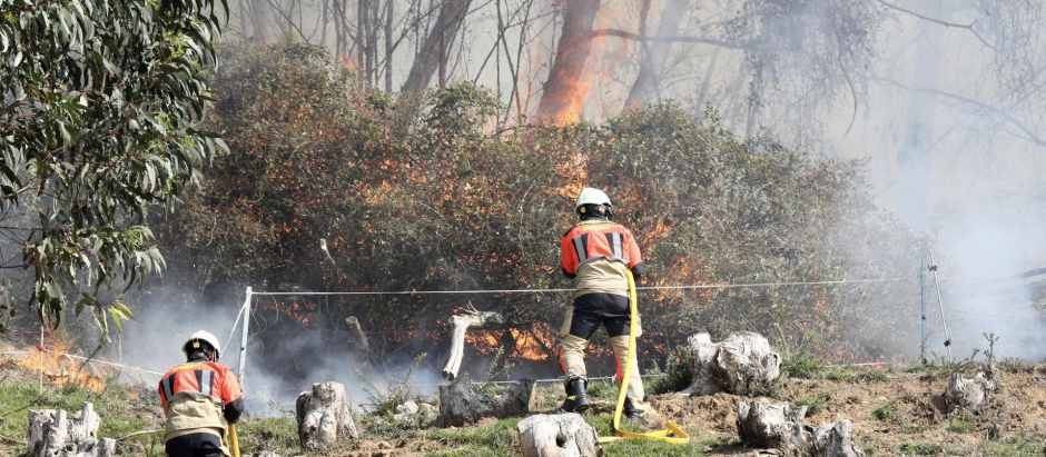 Varios bomberos trabajan en las labores de extinción del incendio
