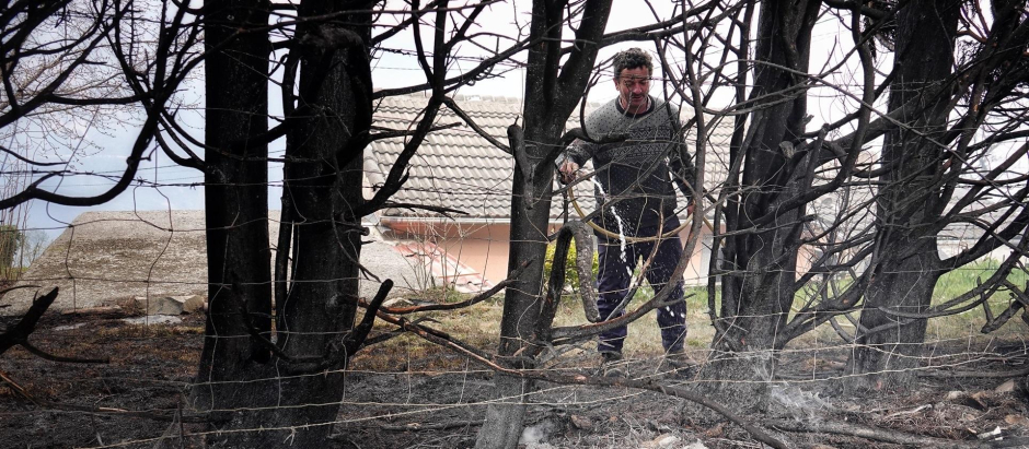 Un hombre retira las ramas quemadas en el incendio de los concejos de Valdes y Tineo