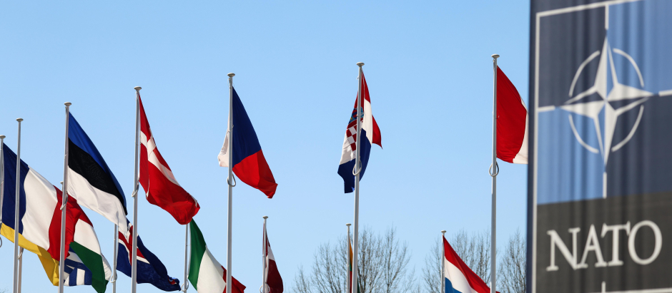Las banderas nacionales de los países miembros de la OTAN en Bruselas