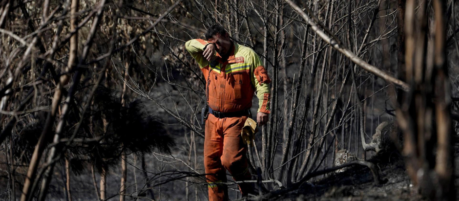 Un bombero vigila las zonas aún humeantes y con riesgo de incendio en los bosques de Pereda