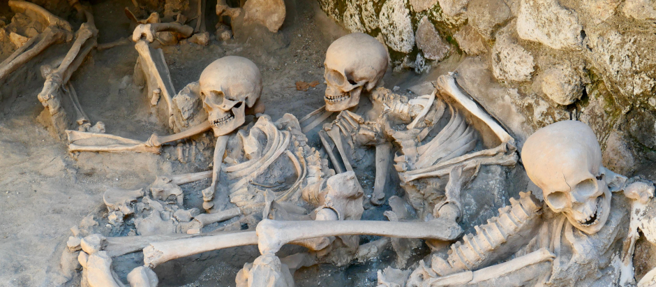 Esqueletos hallados en el sector portuario de uno de los Fornicis en Herculano
