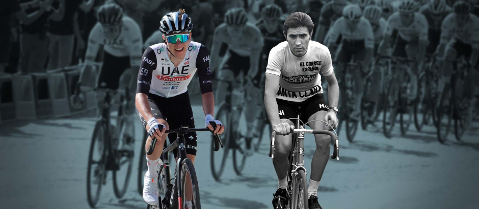Tadej Pogacar y Eddy Merckx