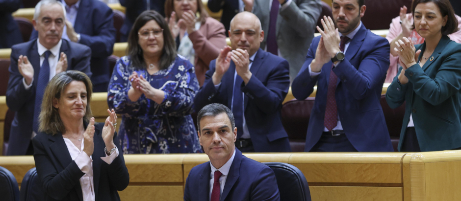 Pedro Sánchez, aplaudido por los senadores socialistas