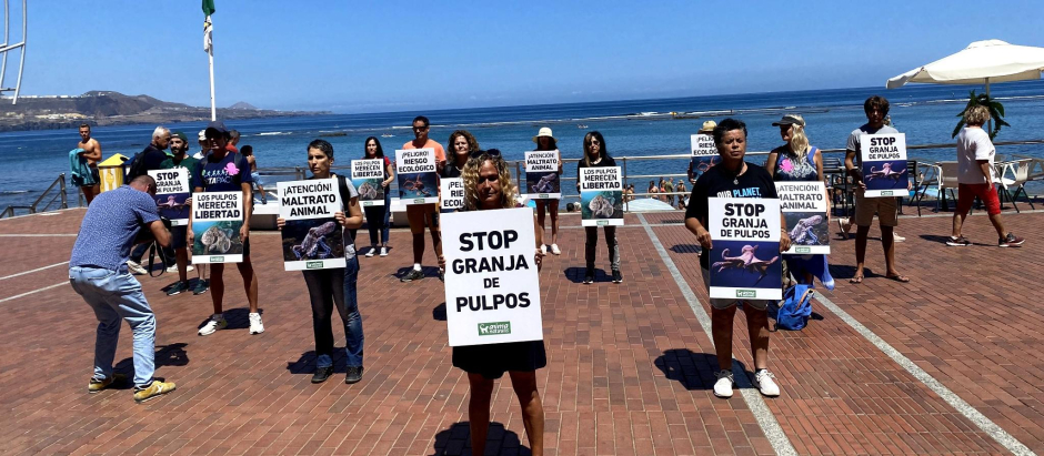 Ecologistas protestan en Las Palmas de Gran Canaria contra la granja de pulpos