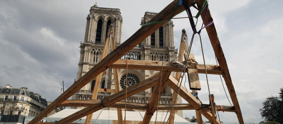 La madera para la reconstrucción de Notre Dame proviene de más de mil robles centenarios