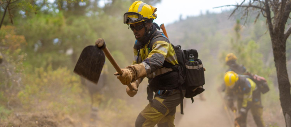 Agentes de los Equipos de Intervención y Refuerzo en Incendios Forestales (EIRIF) del Gobierno de Canarias intervienen en el incendio de La Palma
Europa Press / Europa Press
17/7/2023