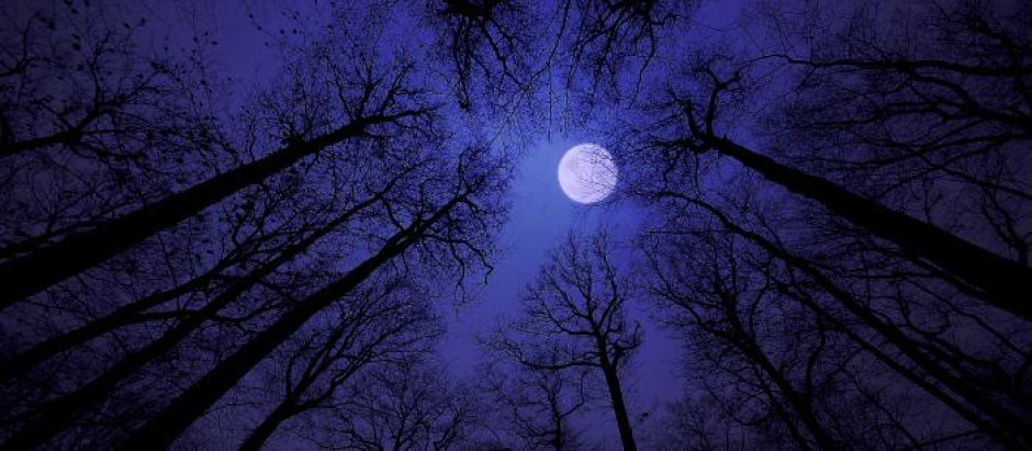 Luna llena agosto 2023: ¿Cuándo y dónde ver la luna del esturión y la luna azul?