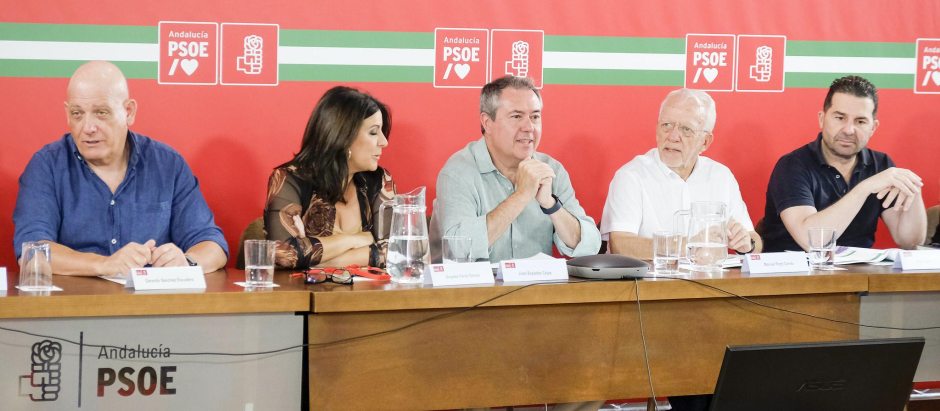 El secretario general del PSOE andaluz, Juan Espadas, este martes en la reunión de la Ejecutiva Regional socialista