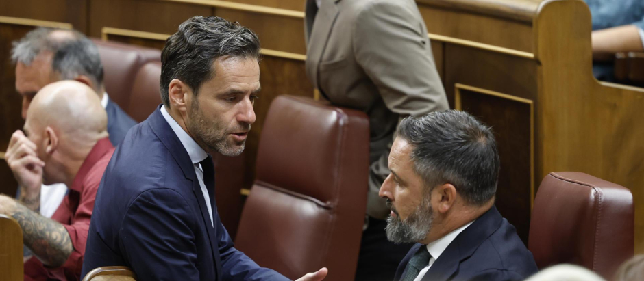 Borja Sémper y Santiago Abascal, en el Congreso de los Diputados