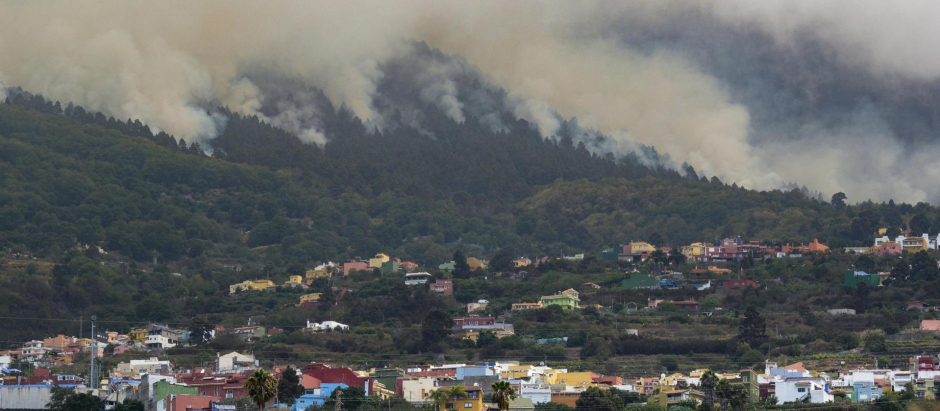 Vista del incendio forestal que afecta a Tenerife desde el municipio de La Victoria