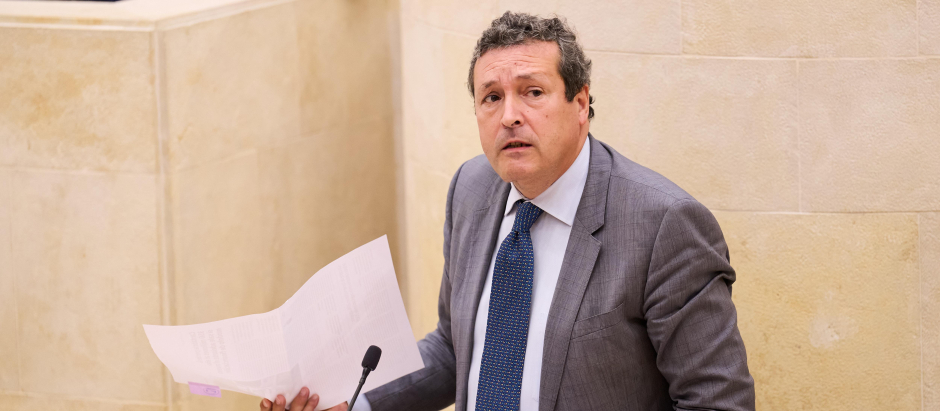El diputado del PP en Cantabria Iñigo Fernández García interviene 
durante la sesión del Pleno en el Parlamento de Cantabria