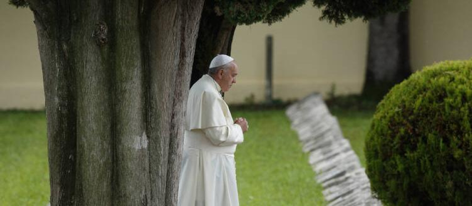 El Papa Francisco rezando bajo un árbol