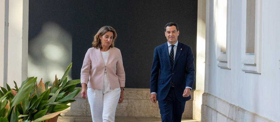 Juanma Moreno camina con Teresa Ribera, este martes, en Sevilla