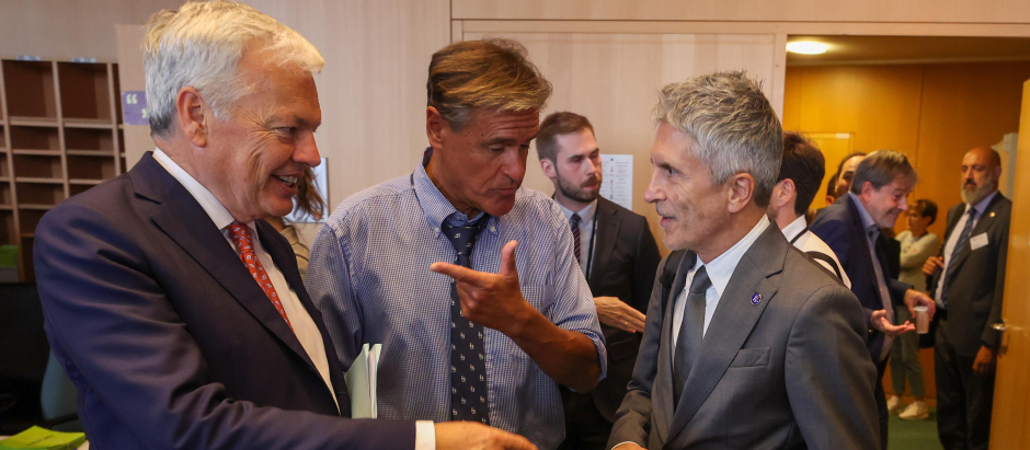 Marlaska, junto al comisario europeo Didier Reynders y el eurodiputado López Aguilar