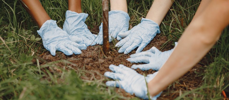 Tres voluntarios plantan un árbol