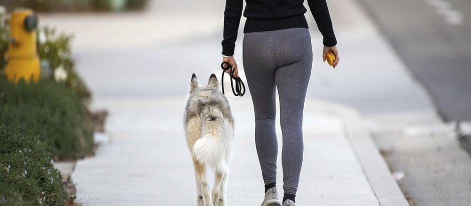 Una mujer pasea con su perro