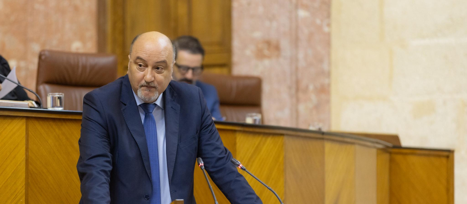 El portavoz adjunto de Vox en Andalucía Ricardo López Olea, durante un pleno del Parlamento andaluz